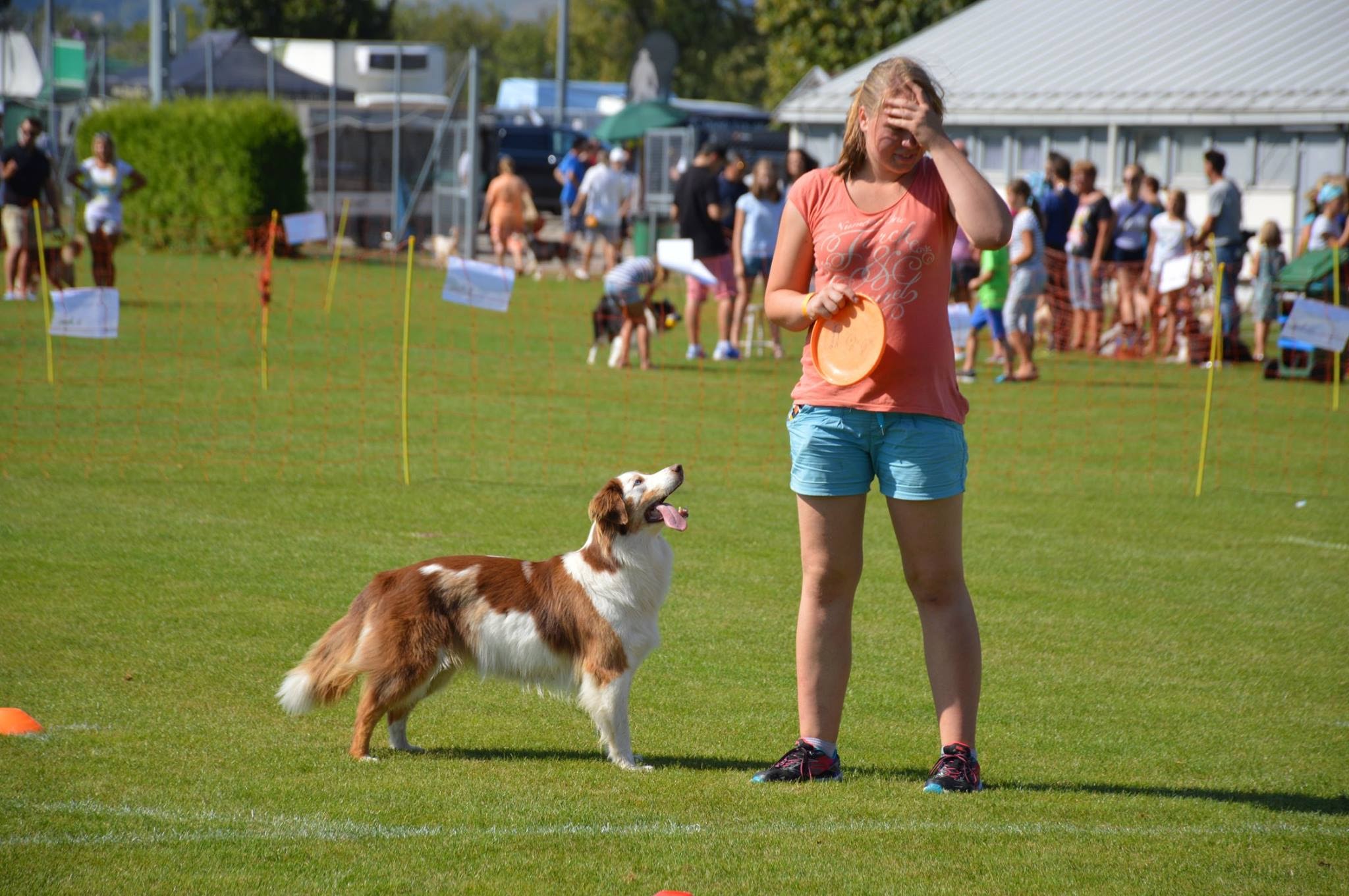 Ergebnisse und Fotos vom Dogfrisbee Fun Turnier am 1. Hundetag Korneuburg 2015